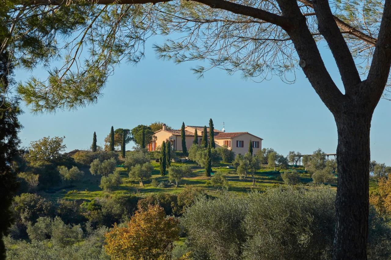 Poggio Tamantino, Villa Con Piscina In Maremma Poggio Cavallo 외부 사진