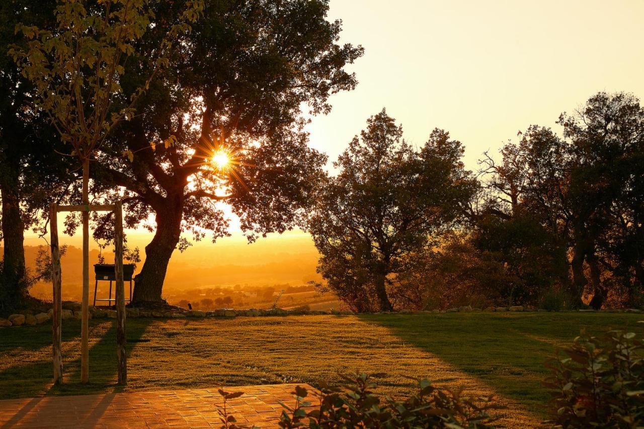 Poggio Tamantino, Villa Con Piscina In Maremma Poggio Cavallo 외부 사진